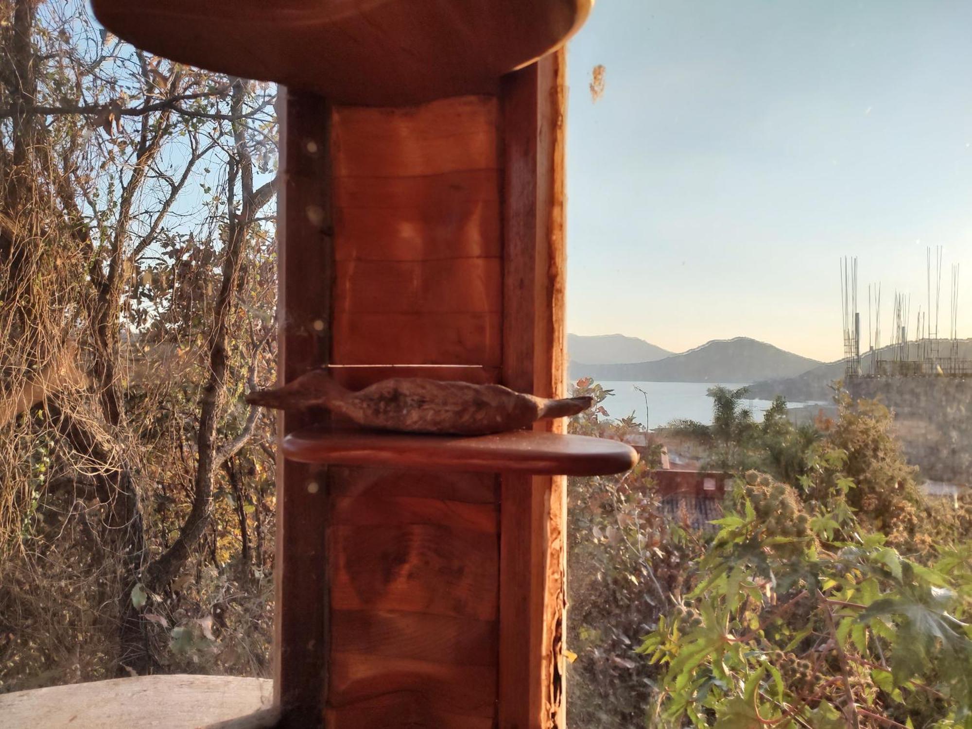 El Encinal De Las Flores Valle de Bravo Rum bild